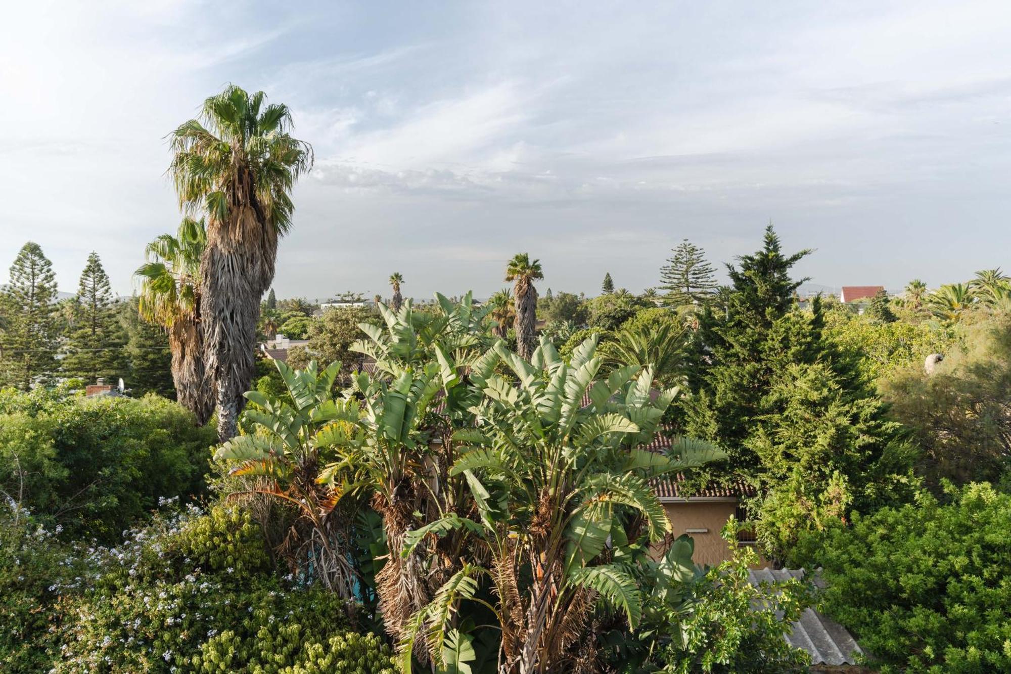 Blouberg Coastal Hideout, Luxury With A Braai And Parking Cape Town